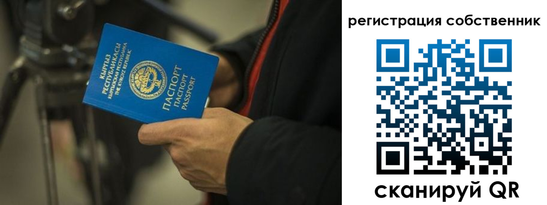 временная регистрация поиск в Лодейном Поле